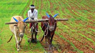 Maharashtra announces loan waiver for farmers, but conditions apply