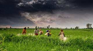 After Uttar Pradesh and Punjab, Congress-led Karnataka govt waives farm loan up to Rs 8,165 crore