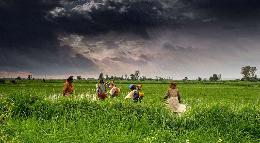 After Uttar Pradesh and Punjab, Congress-led Karnataka govt waives farm loan up to Rs 8,165 crore