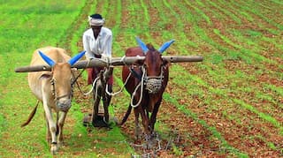 Opinion: Will the Budget help India's struggling farmers?