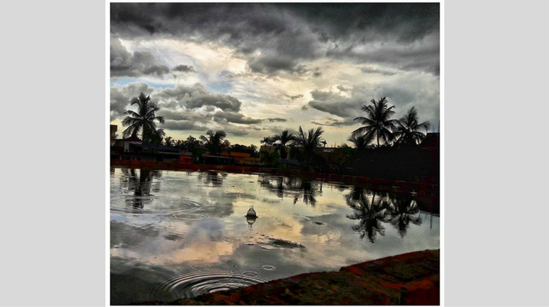 Nature at it's best in Kolkata