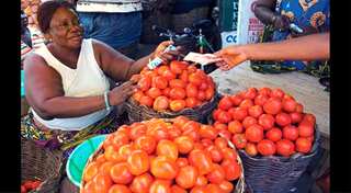 Can developing the economy of towns bring prosperity to South Africans?