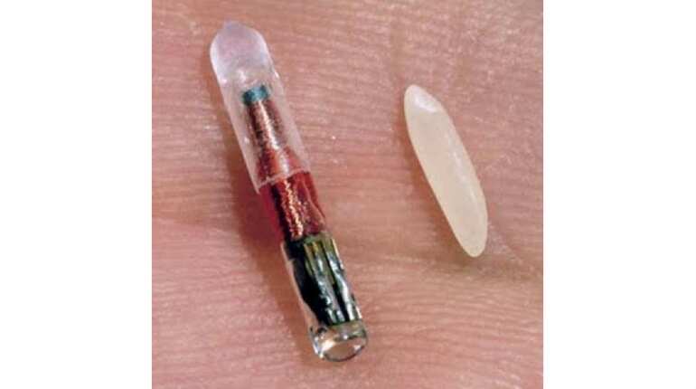 American company offers to implant chips on its employees American company offers to implant chips on its employees