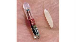 American company offers to implant chips on its employees