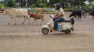 First attack in Bihar over meat