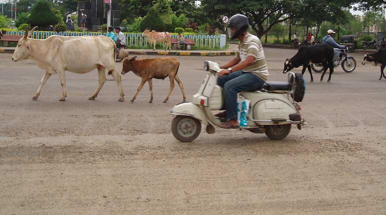First attack in Bihar over meat