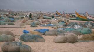 Sri Lankan Navy arrests 12 Indian fishermen from Tamil Nadu