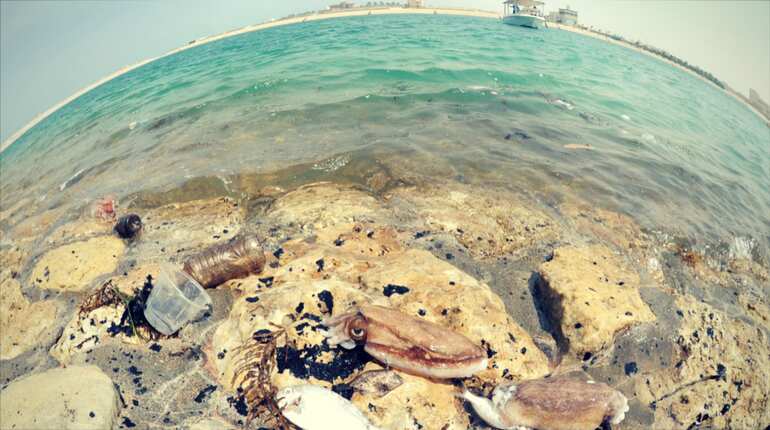 Second crude spill hits one mile of Kuwait coast