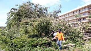 Munich Re makes first warning by reinsurer on Harvey, Irma impact