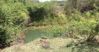 Farmer's perspective about the seed distribution programme in Embu, Kenya