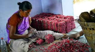 Over 1,200 kg firecrackers seized in Delhi, 29 arrested post Supreme Court ban