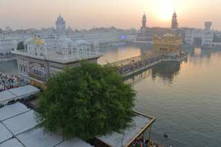 Man beaten to death after alleged 'sacrilege' attempt at Golden Temple in India