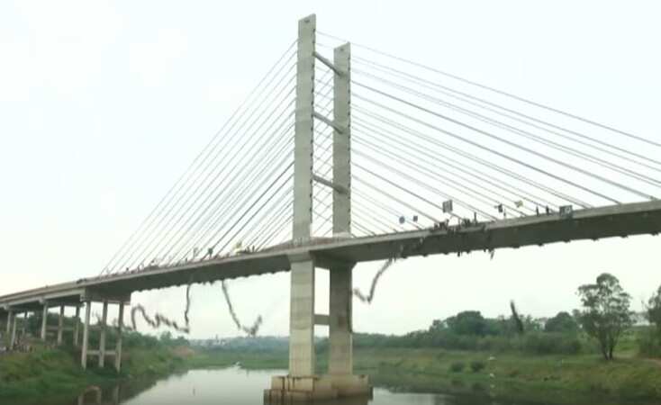 245 people jumped off a bridge in attempt of new world record