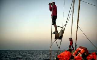 Over 250 migrants rescued off Spain