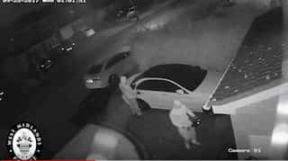 Watch: Two men steal Mercedes in under a minute without car key