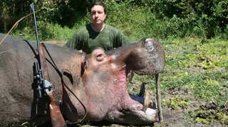 Militias, poachers have wreaked havoc on central Africa's wildlife: Monitor