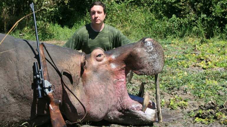 Militias, poachers have wreaked havoc on central Africa's wildlife: Monitor