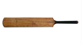 Police say Greater Noida teen killed mother, sister with cricket bat, pizza cutter