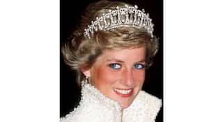 Prince William, Harry choose sculptor to commemorate Princess Diana's death with a statue