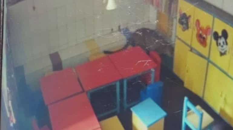 Watch: Leopard enters playschool in Mumbai Watch: Leopard enters playschool in Mumbai
