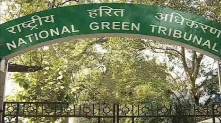 NGT directs authorities to take effective steps to curb pollution in Delhi-NCR NGT directs authorities to take effective steps to curb pollution in Delhi-NCR