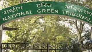 Three waste-to-energy plants in Delhi causing pollution, NGT orders fresh inspection