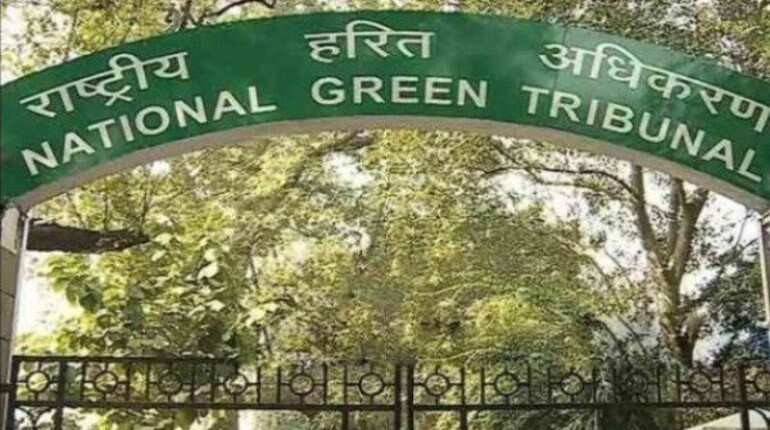 NGT directs authorities to take effective steps to curb pollution in Delhi-NCR