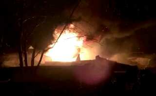 Fire breaks out at London Zoo, one Aardvark reported missing
