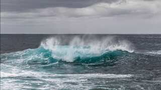 Scientists discover 'smoke rings' in Tasman sea