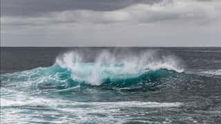 Scientists discover 'smoke rings' in Tasman sea
