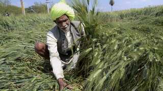 Budget 2018: What Jaitley announced for farmers, agricultural sector