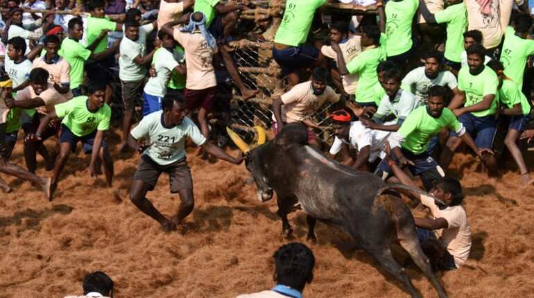 19-year-old gored to death at Jallikattu event in Tamil Nadu 19-year-old gored to death at Jallikattu event in Tamil Nadu