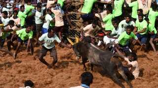 19-year-old gored to death at Jallikattu event in Tamil Nadu