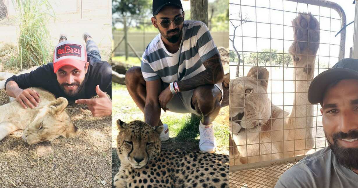 Despite Test loss, Indian players prefer to hang out with their wives than practice Despite Test loss, Indian players prefer to hang out with their wives than practice