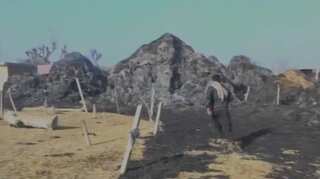 J&K: 3 killed in ceasefire violation by Pakistan