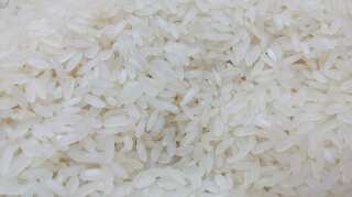 US gives safety approval to Chinese genetically modified rice strain