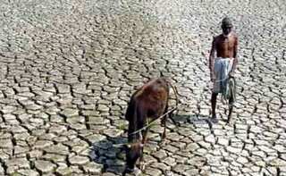Gujarat staring at acute water crisis warns top official