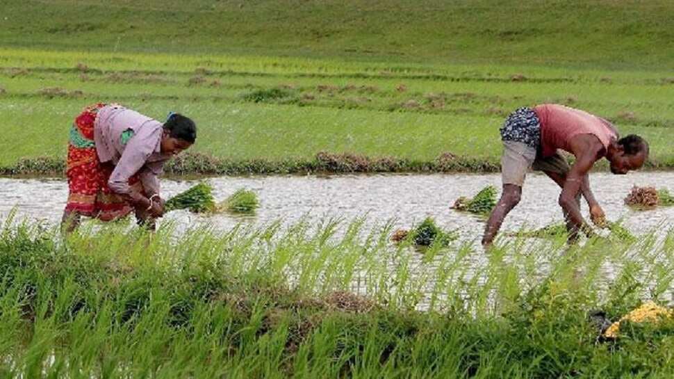 Uttar Pradesh sets target to double agricultural exports by 2024