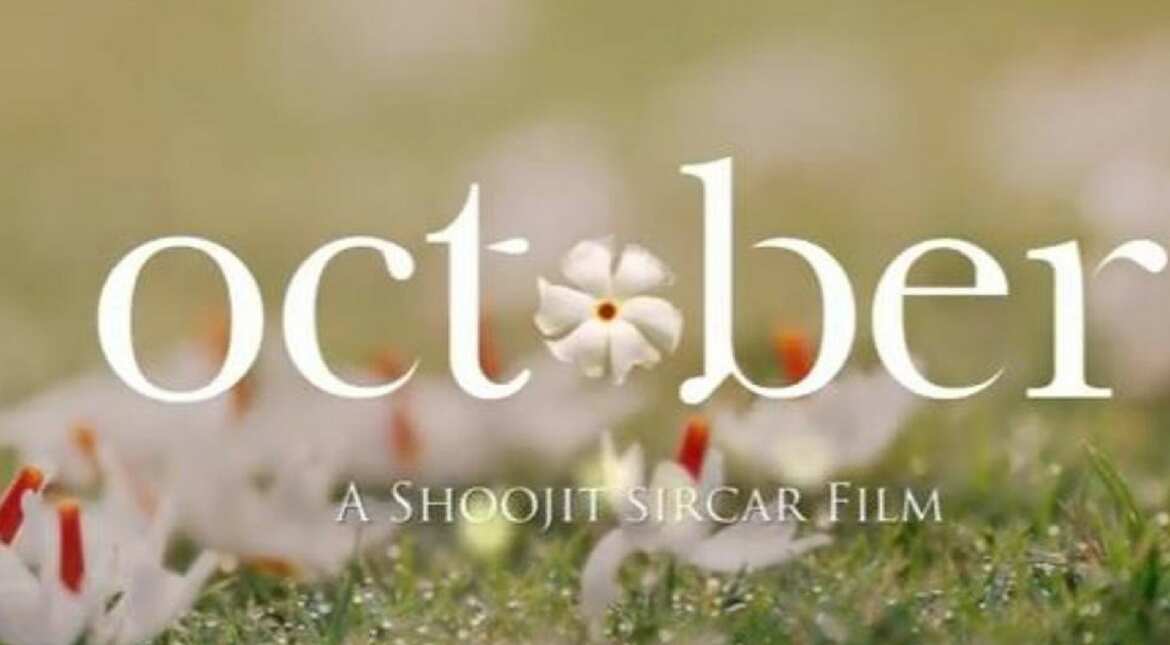 Watch October teaser: Varun Dhawan's Valentine's Day gift to fans is melodious! Watch October teaser: Varun Dhawan's Valentine's Day gift to fans is melodious!