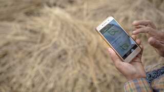 Myanmar farmers going against the grain with apps