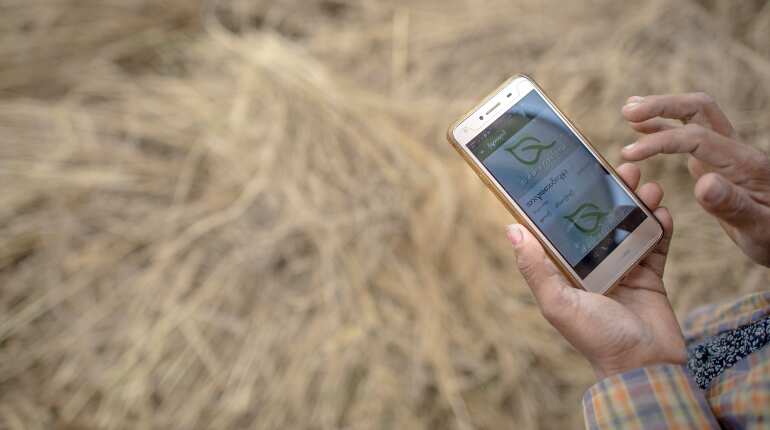 Myanmar farmers going against the grain with apps