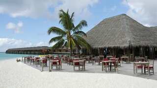 Unrest in Maldives: Tourism industry witnesses large-scale layoffs