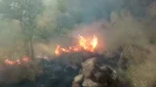 Tamil Nadu forest fire: Toll rises to 10