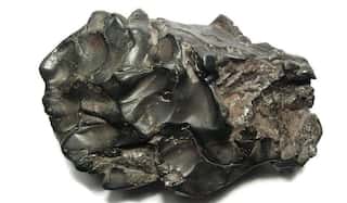 Jaipur meteorite-hit could help discover evolution of solar system: Geological Survey
