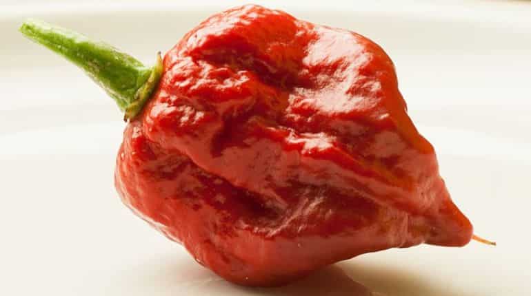 Doctors issue warning after world's hottest chilli causes 'thunderclap' headaches Doctors issue warning after world's hottest chilli causes 'thunderclap' headaches