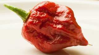 Doctors issue warning after world's hottest chilli causes 'thunderclap' headaches