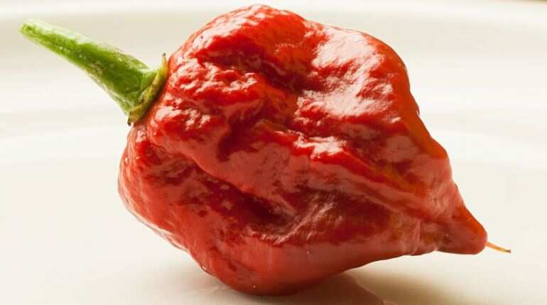 Doctors issue warning after world's hottest chilli causes 'thunderclap' headaches