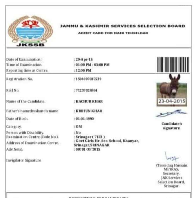 Donkey issued admit card to write examination in Jammu and Kashmir Donkey issued admit card to write examination in Jammu and Kashmir