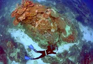 Australia announces US$379 million funding for Great Barrier Reef