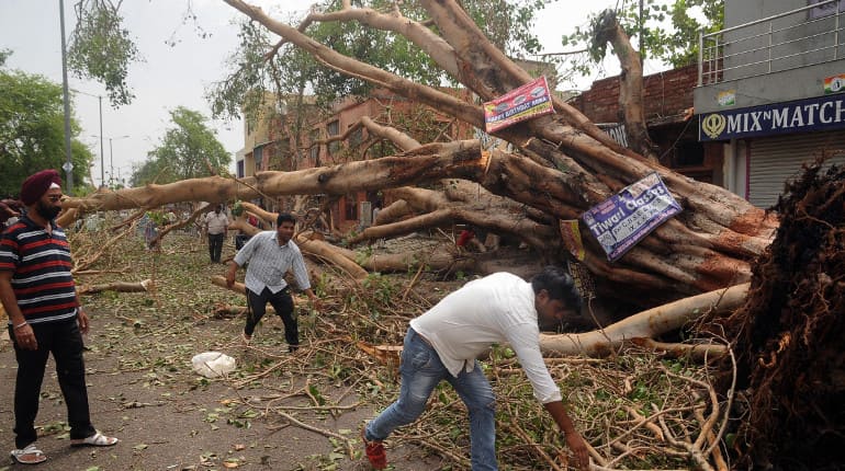 Dust storm kills close to 100 in Uttar Pradesh, Rajasthan